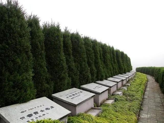产品展示